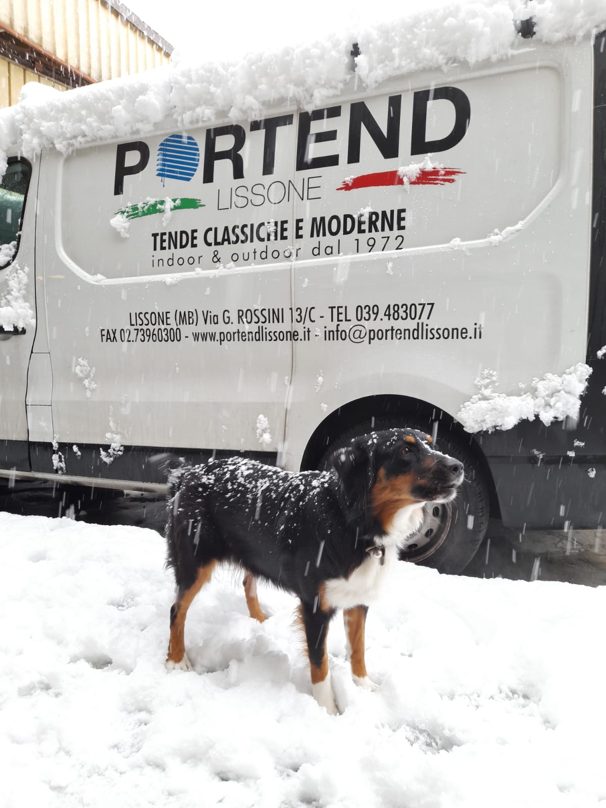 portend-lissone-pet-friendly